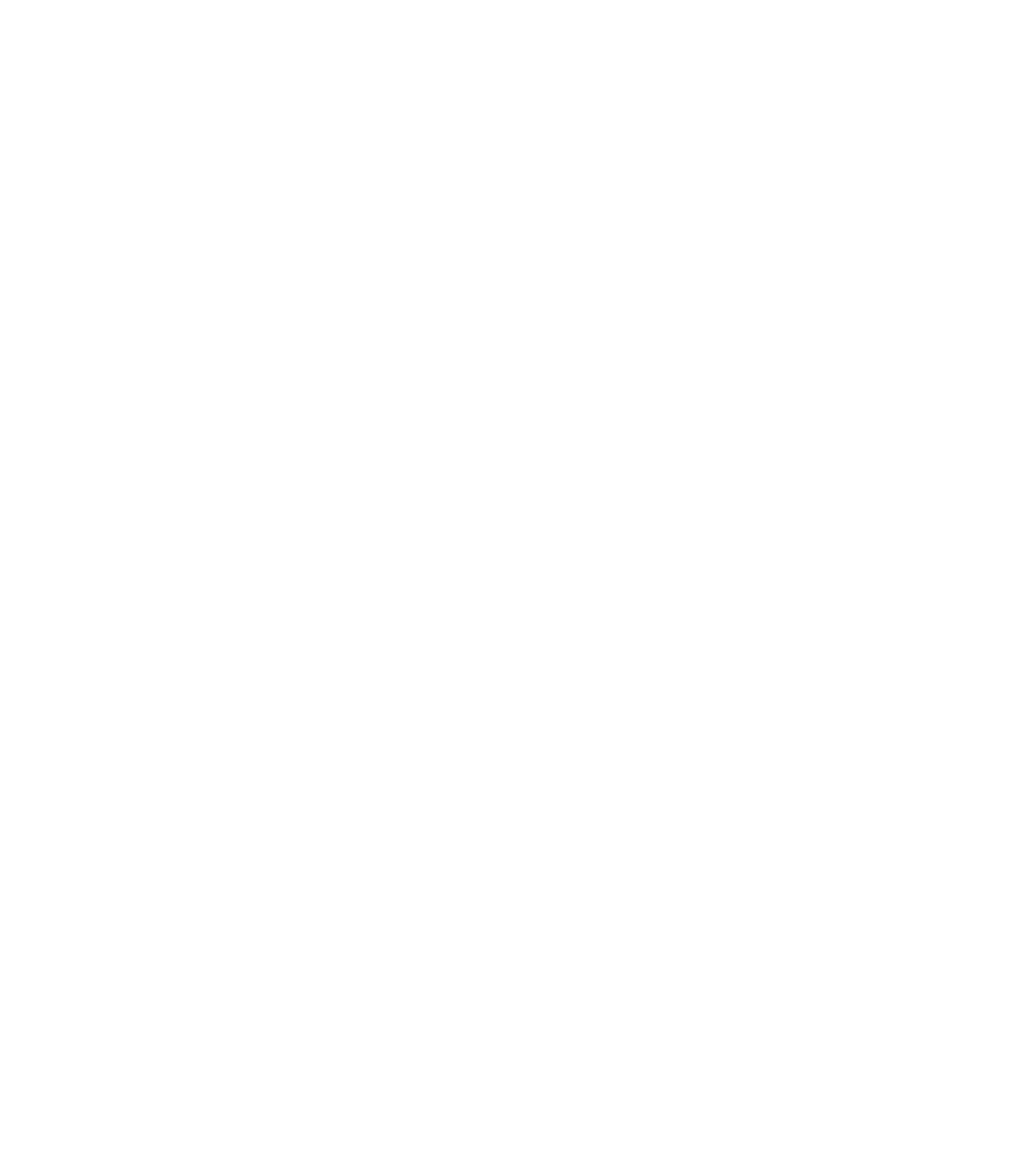 Ogami