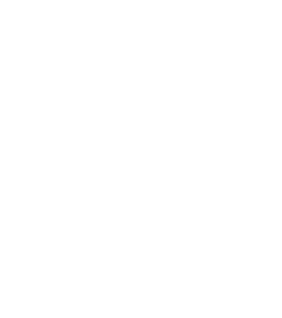 Ogami