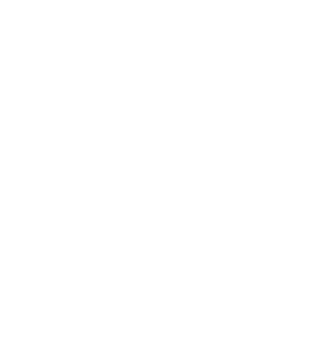 Ogami
