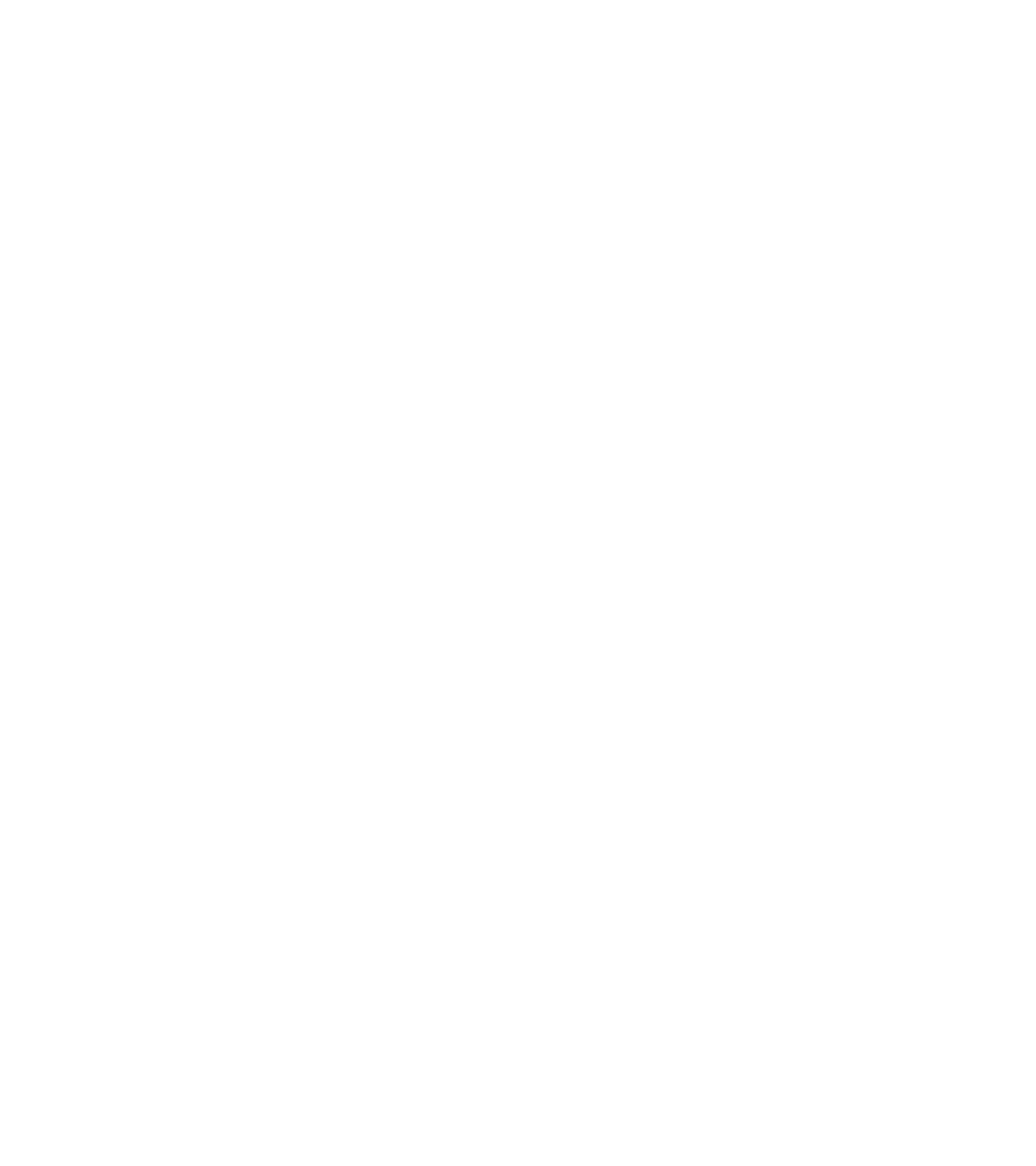 SODIC Medical District