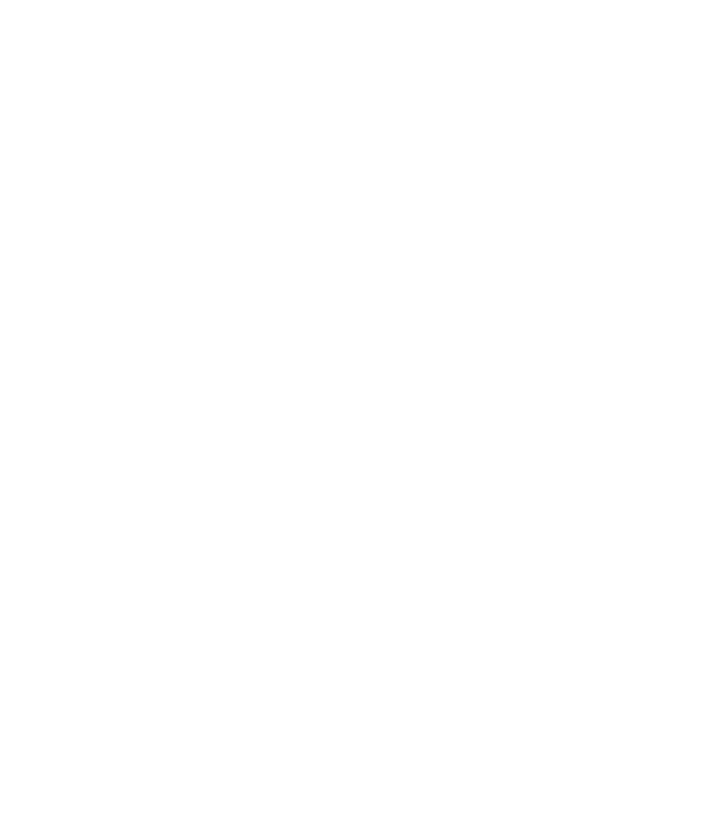 The Portal
