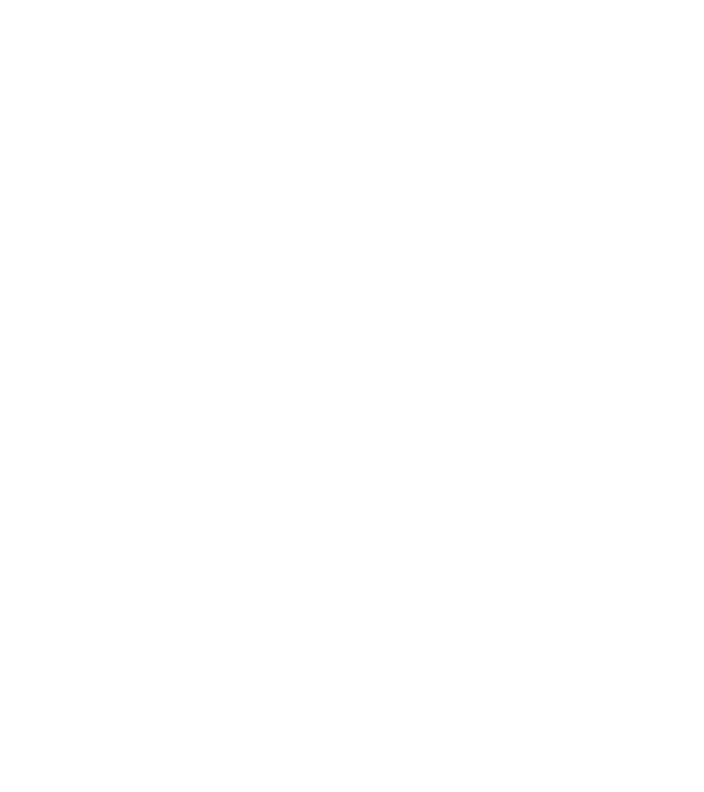 The Portal