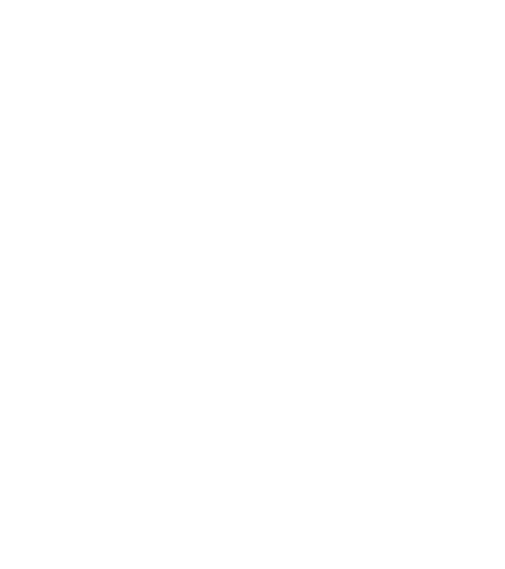 V Residences