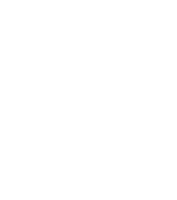 V Residences